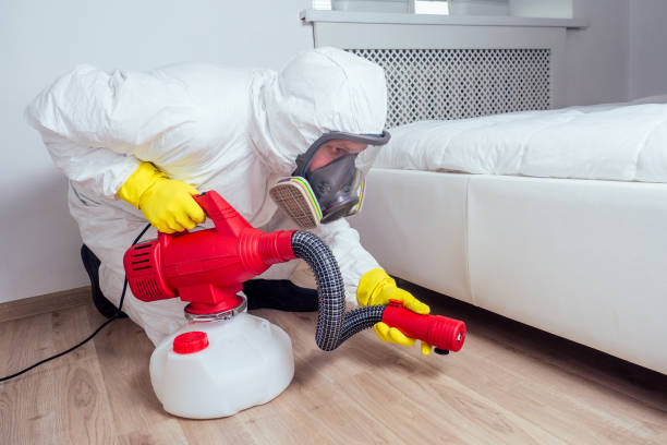 Best Pest Prevention Services  in Fort Stewart, GA